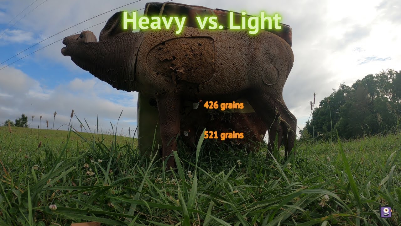 Heavy vs Light Arrows,Why heavy arrows SUCK!