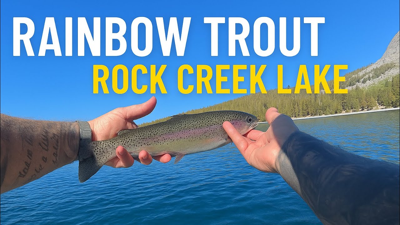 Fishing Rock Creek Lake | Rainbow Trout Action in the Eastern Sierra