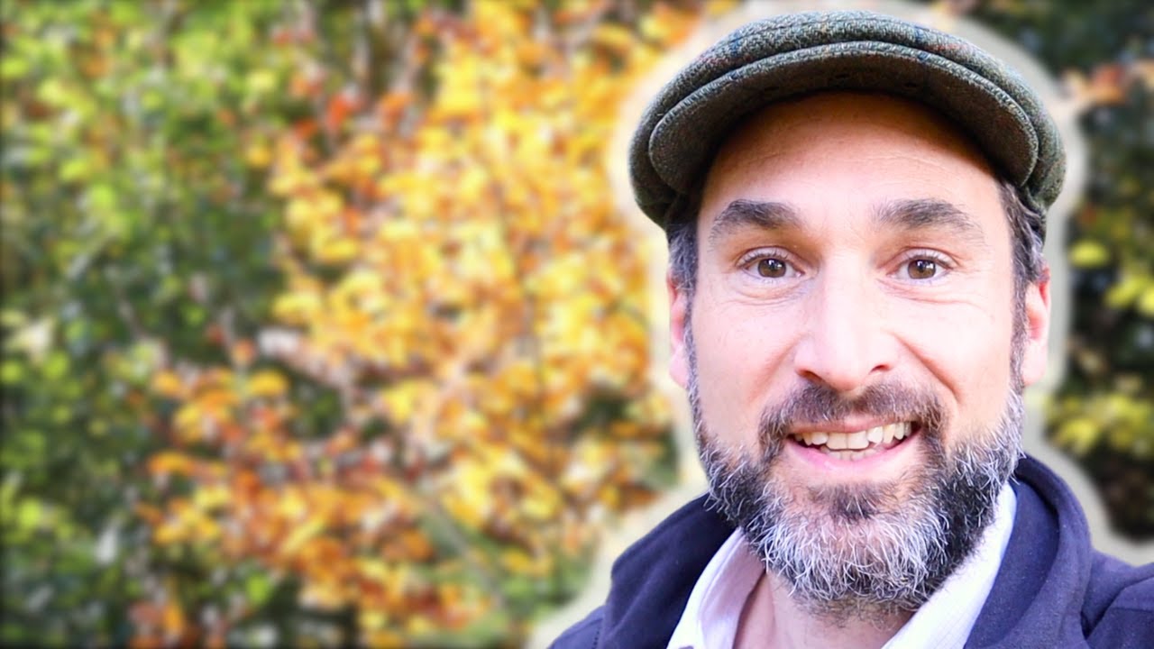 Der Herbst hermetisch betrachtet (mit BONUS!)