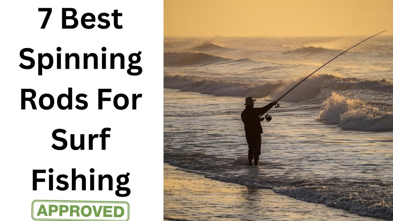 7 Best Spinning Rods for Surf Fishing (2026) &ndash; Surf Spinning Setup