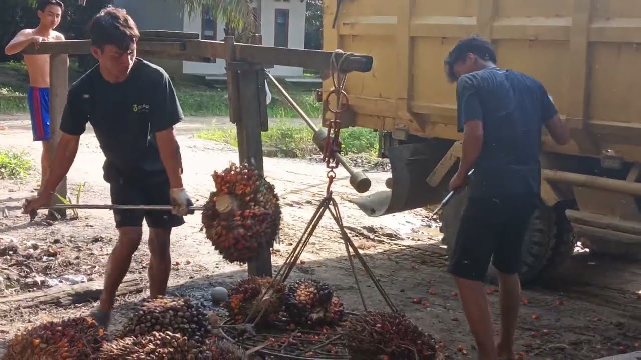SEPERTI INILAH ANAK MUDA YANG MANDIRI GUYS 