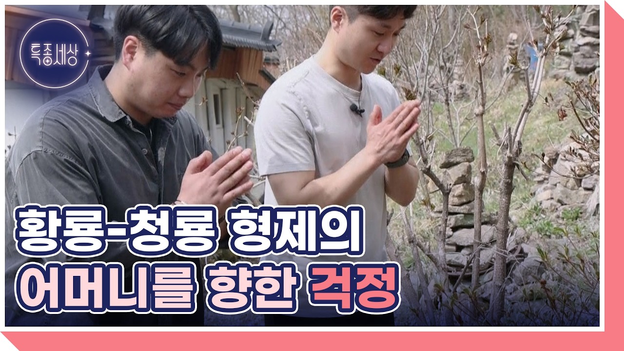 보리 스님을 찾아온 두 아들, 황룡-청룡 형제가 말하는 그 시절 이야기 MBN 260409 방송