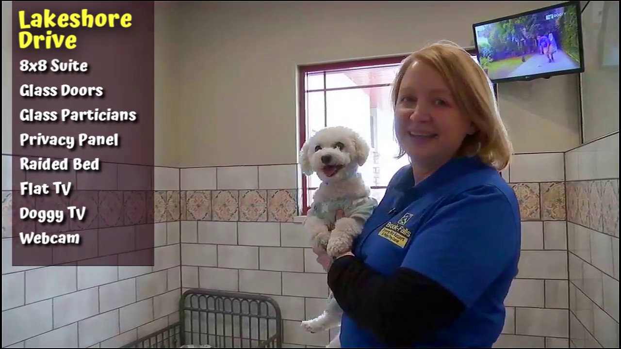 Brook-Falls Luxury Pet Resort & Doggy Daycare Tour - Menomonee Falls, WI