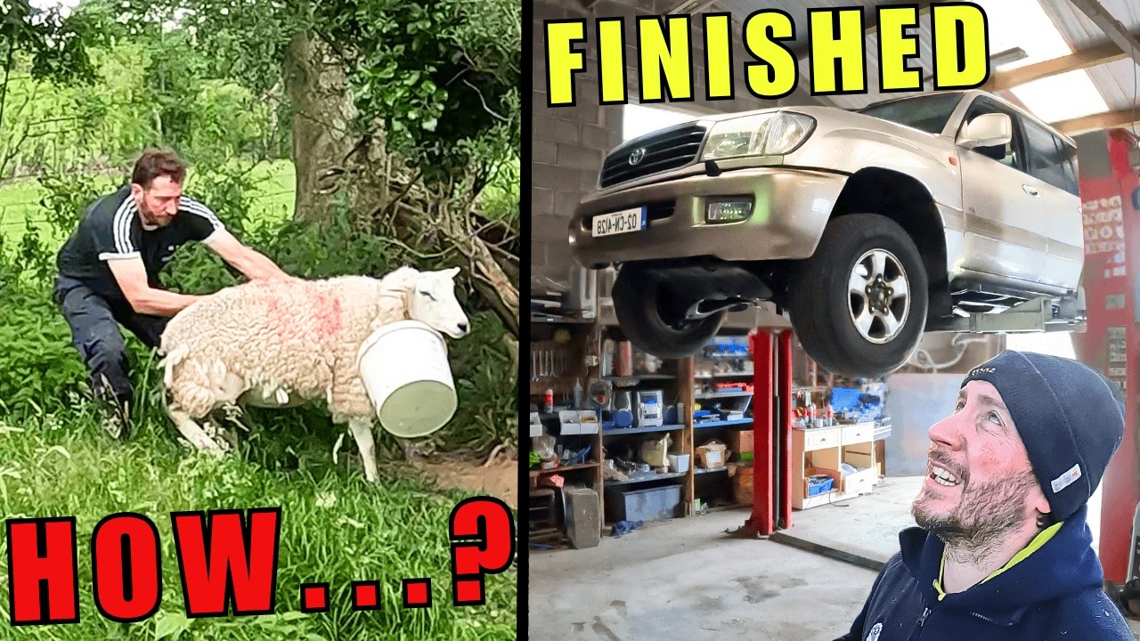 Miracle Lamb, Bucket Mishap & the Mighty Landcruiser Returns