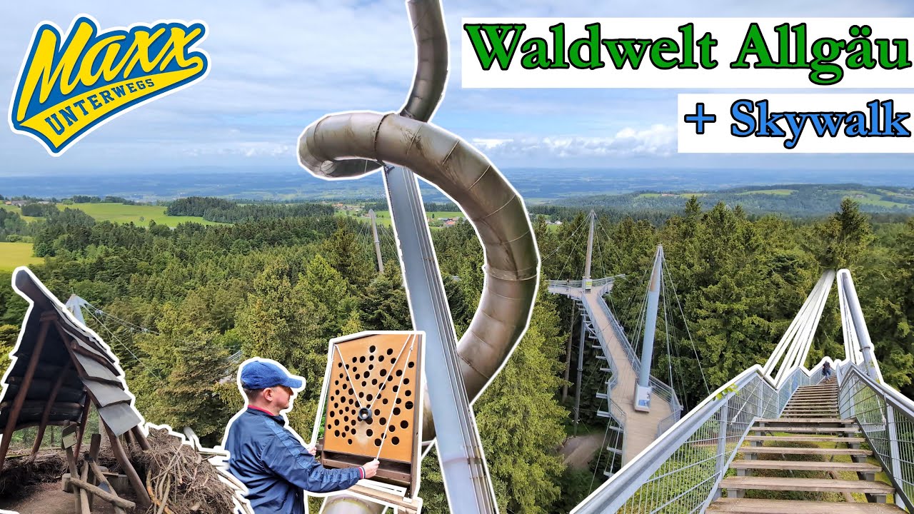 Waldwelt Skywalk Allgäu | Scheidegg am Bodensee | 2025