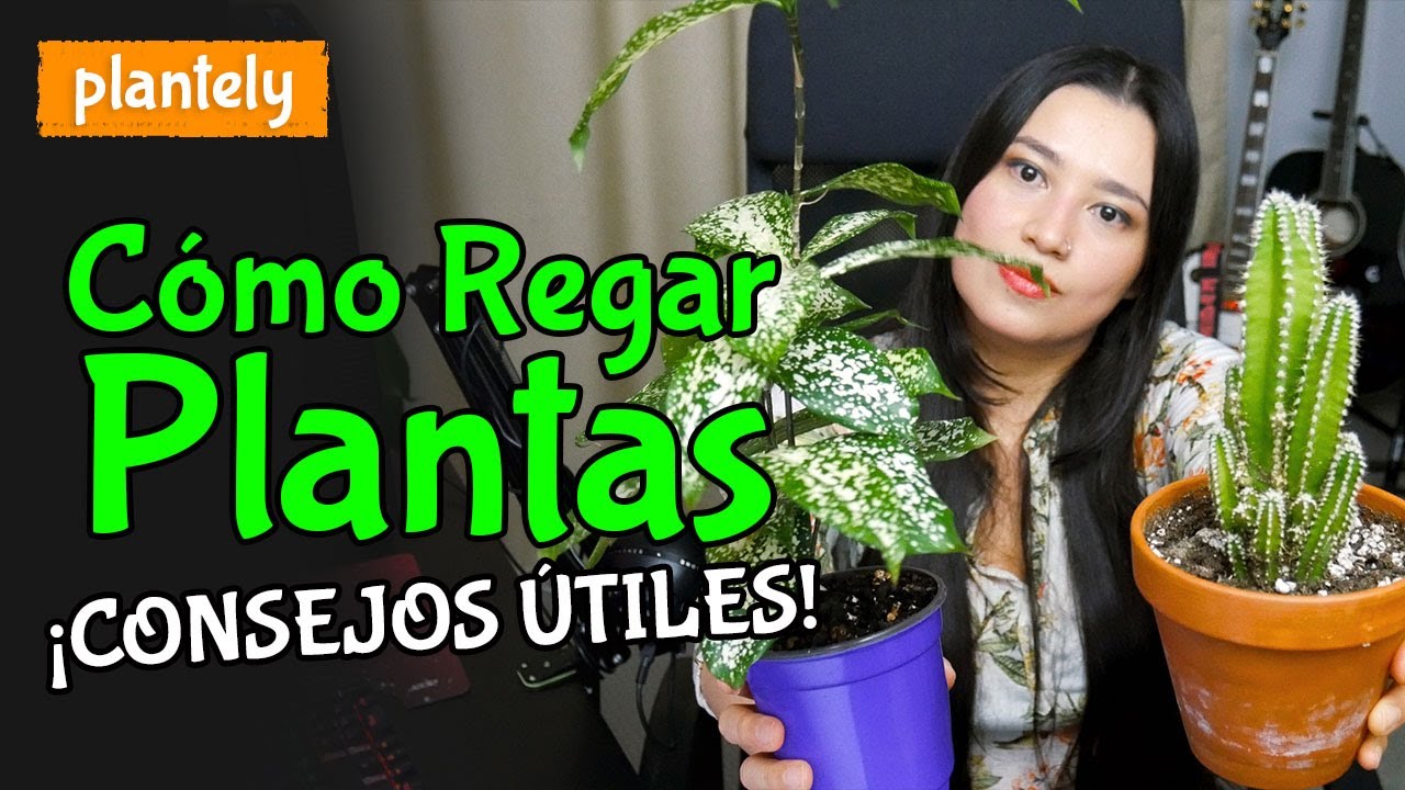 Cómo Regar Plantas, Consejos Útiles | Plantely