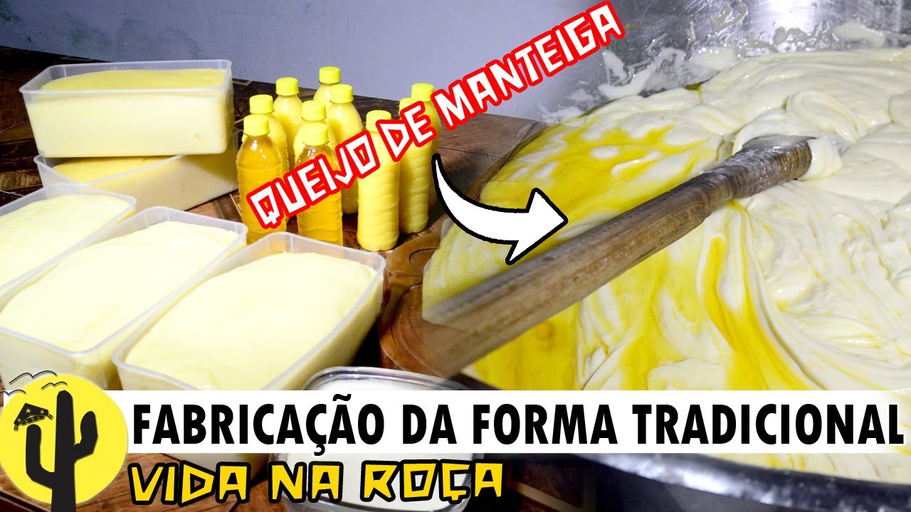 [VIDA NA ROÇA] QUEIJO de MANTEIGA feito da forma mais Tradicional do NORDESTE 🧀🌵