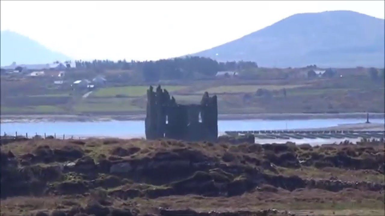 Ireland road trip 2015, seals, dolphins, wild atlantic way, beach, ring of kerry
