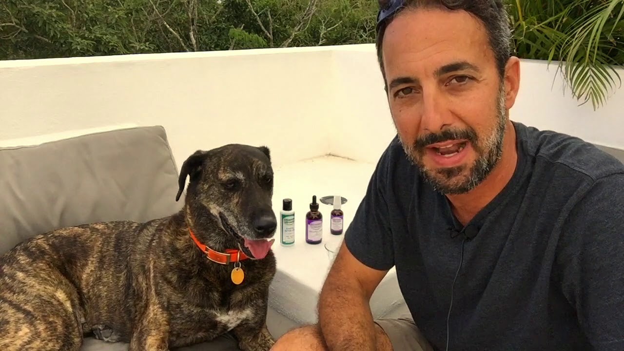Colloidal Silver For Animals