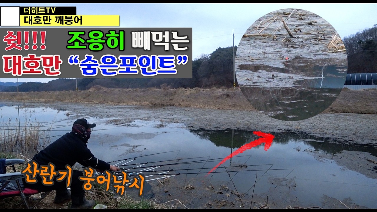 조용히 빼먹는 대호만 깨붕어 포인트.2026.3.14