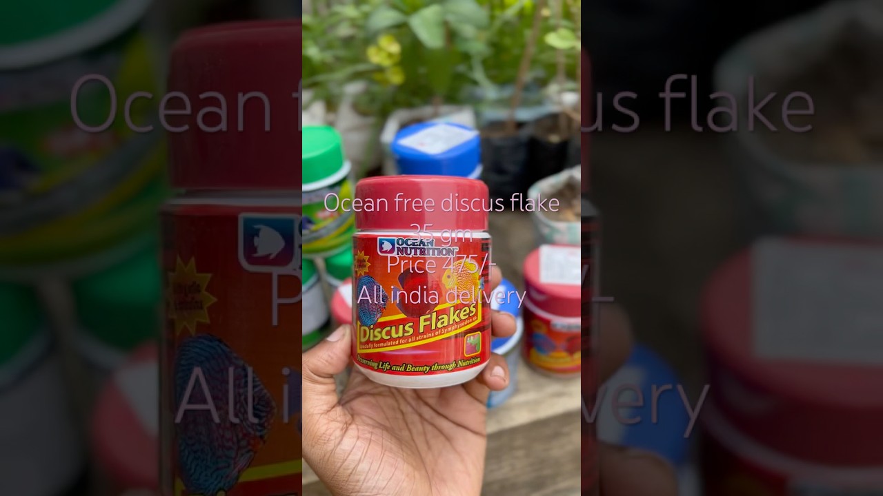 Discus fish food flakes type price 475/-