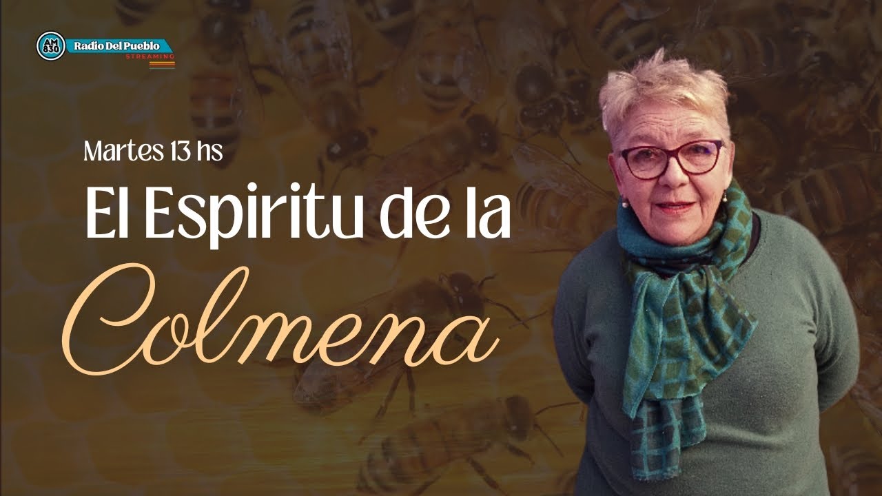 EL ESPIRITU DE LA COLMENA - EN VIVO