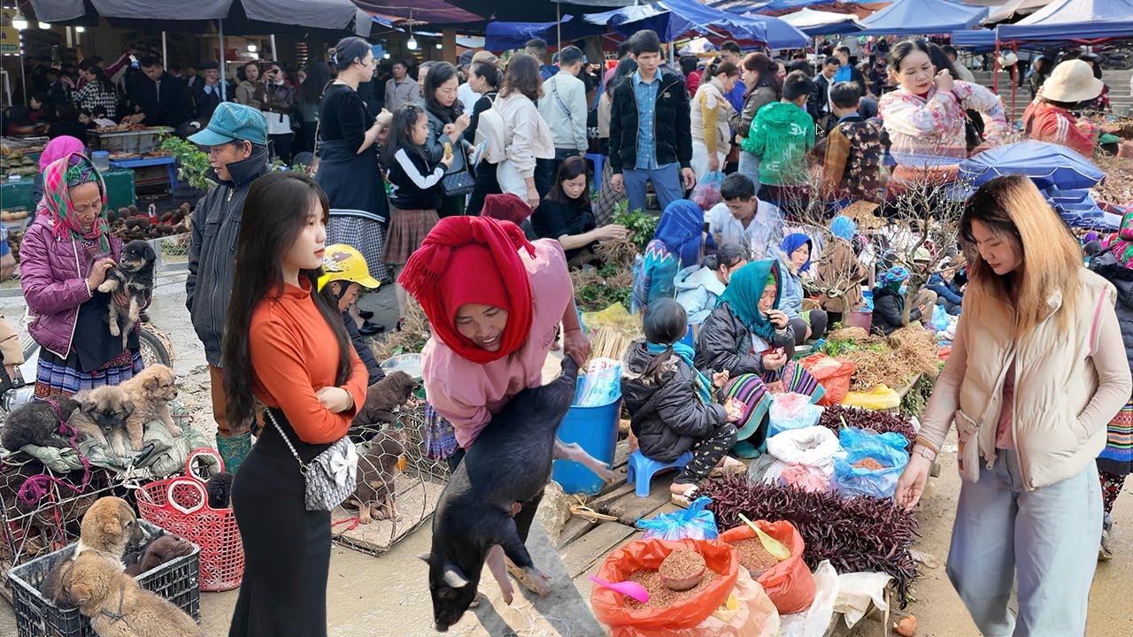 Khai xuân CHỢ PHIÊN BẮC HÀ 