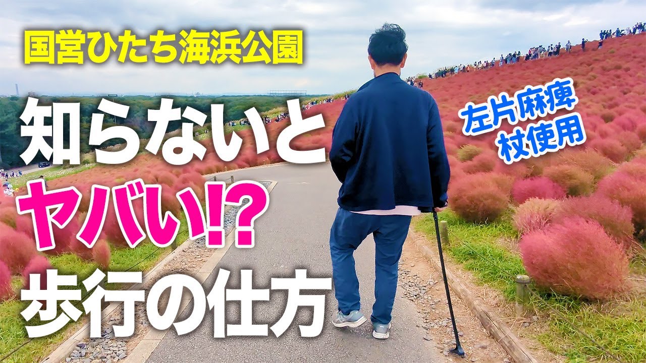【脳卒中片麻痺】知らずに歩くと危険！？国営ひたち海浜公園のコキアを見てきた【絶景】