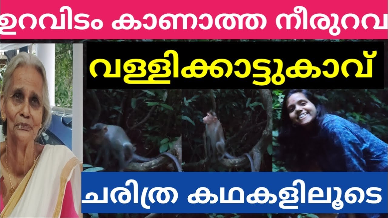 വള്ളിക്കാട്ടുകാവും ചരിത്രവും||MOST FAMOUS VALLIKKATTU KAVU TEMPLE HISTORY Kozhikode