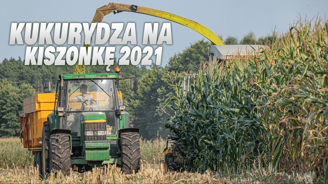 🇵🇱Kukurydza Na Kiszonkę 2021🔥Claas Jaguar 840🔥2xJohnDeere🔥2xZetor🔥Case, Massey, Landini🔥GR Michałek🔥