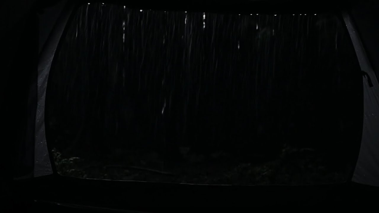 [ LIVE NO ADS ] ASMR Calm Mountain Rain in a Cozy Tent 🌧️ Relaxing Nature Sounds for Deep Sleep