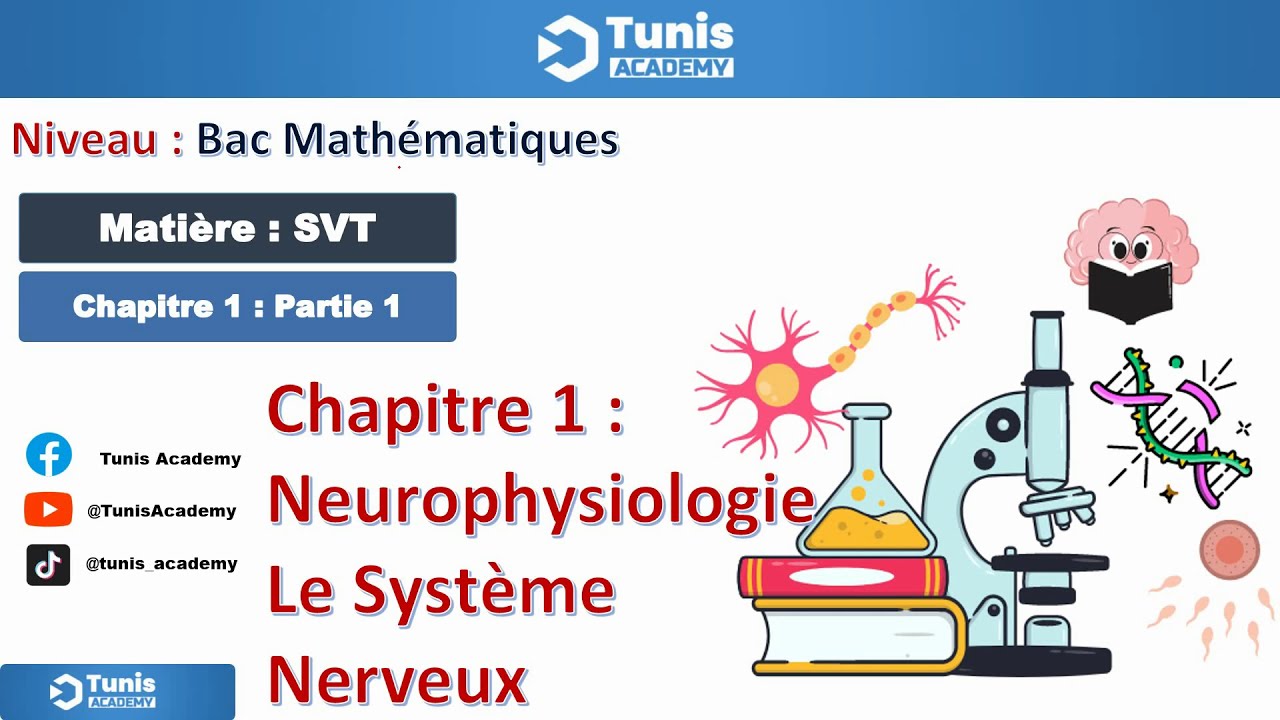 Chapitre 1.1 : Le Tissu Nerveux (BAC MATH)
