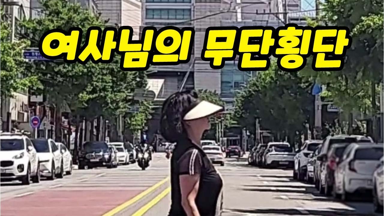 [블랙박스]옆은 안 볼셈이야? 무단횡단 여사님｜2025블박사고영상
