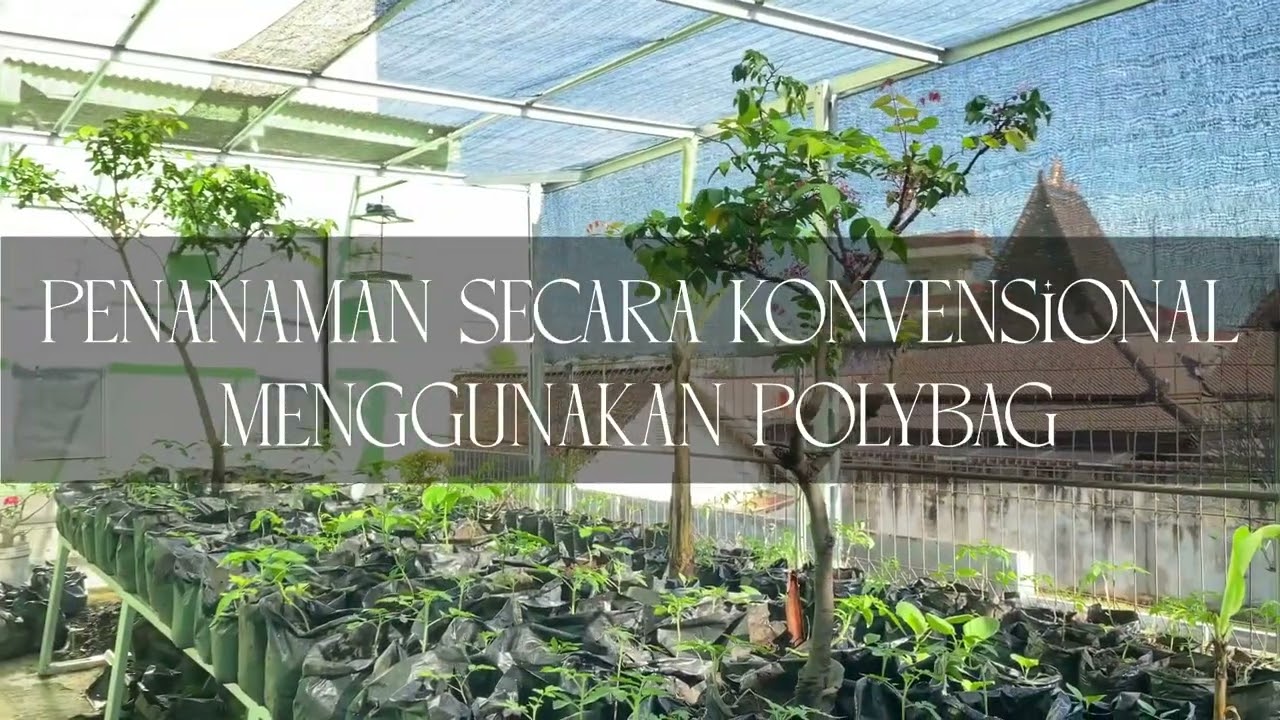 URBAN FARMING CHAMPION SDN CANDI 01 SEMARANG