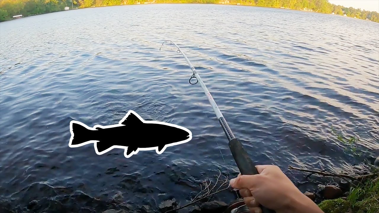 Fish on Fire at Chippewa Falls(Lake Wissota and Eau Claire River)