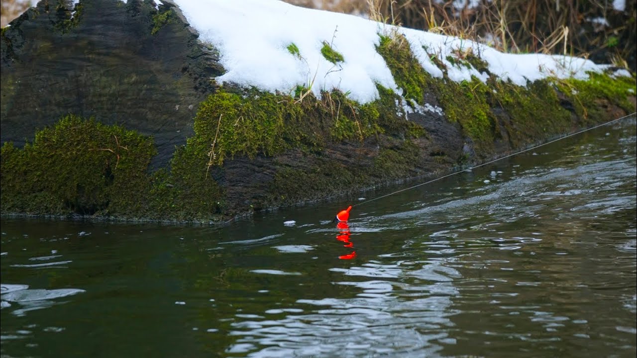 WINTER STEELHEAD BOBBER DOWNS ON A TINY RIVER - The Best Bite We&rsquo;ve EVER Seen!