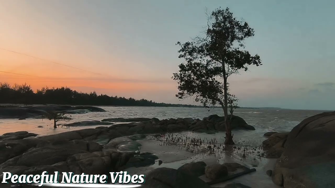 No ads‼️Ocean Waves for Deep Sleep: Soothing Sounds for Restful Nights