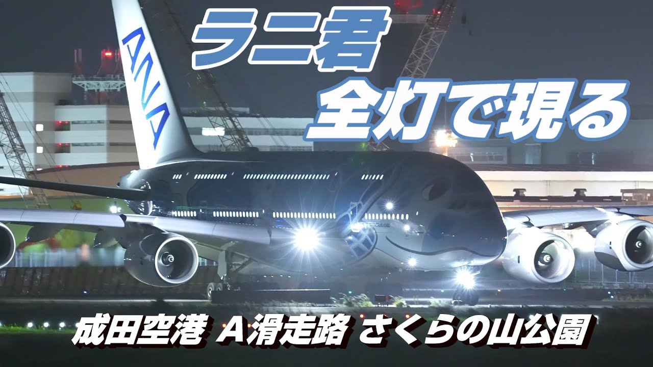 【4K】成田空港 さくらの山公園 全日空 超巨大旅客機 フライング・ホヌ ラニ君 全灯で離陸