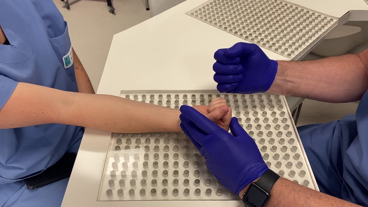 Lésion tendon fléchisseur
