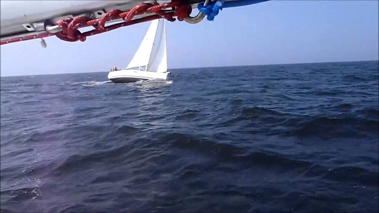 Pickwick 2 - Pogo 8.50