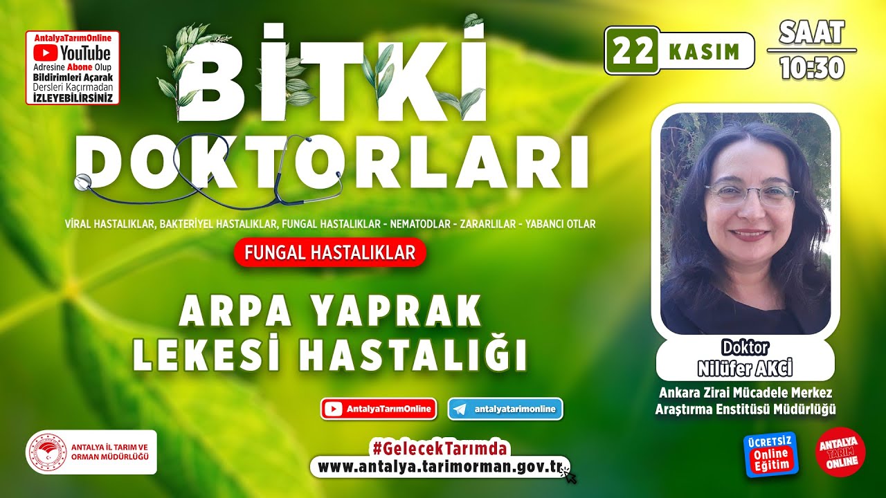 Bitki Doktorları 106- Arpa Yaprak Lekesi Hastalığı