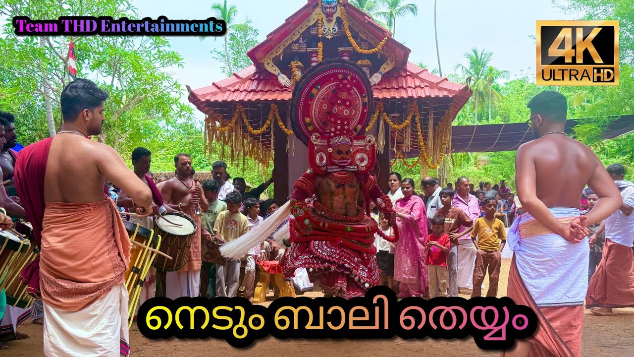 ആശാരിക്കണ്ടി ശ്രീ ഭഗവതി ക്ഷേത്രത്തിലെ നെടും ബാലി തെയ്യം!! Bali Theyyam-The Dance of Divinity!!