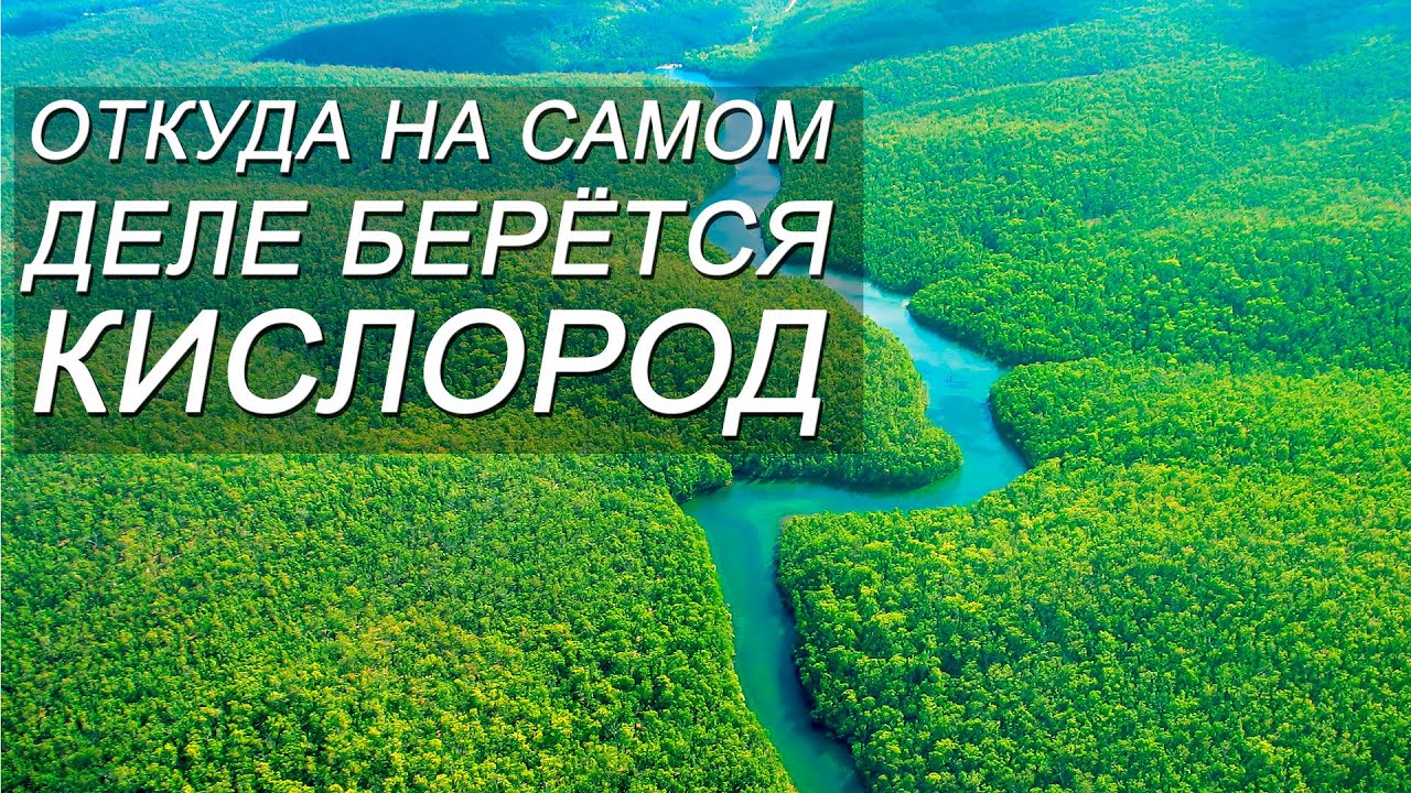 ОТКУДА НА САМОМ ДЕЛЕ БЕРЕТСЯ КИСЛОРОД