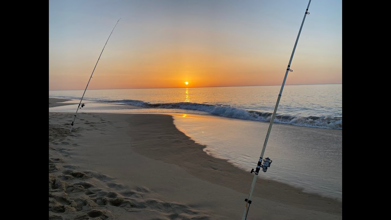 Escapade au bassin d arcachon