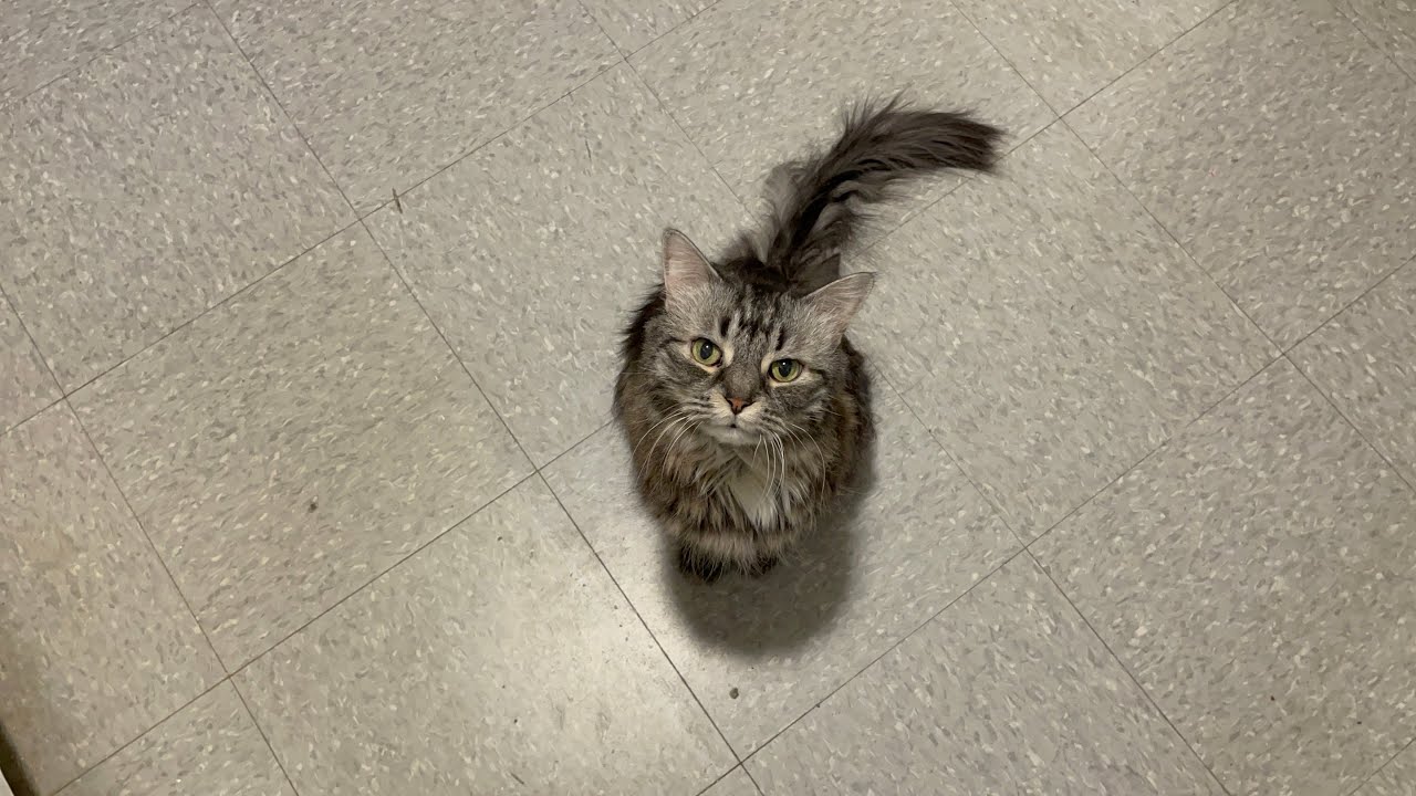 Shiloh was more than ready for her breakfast. 