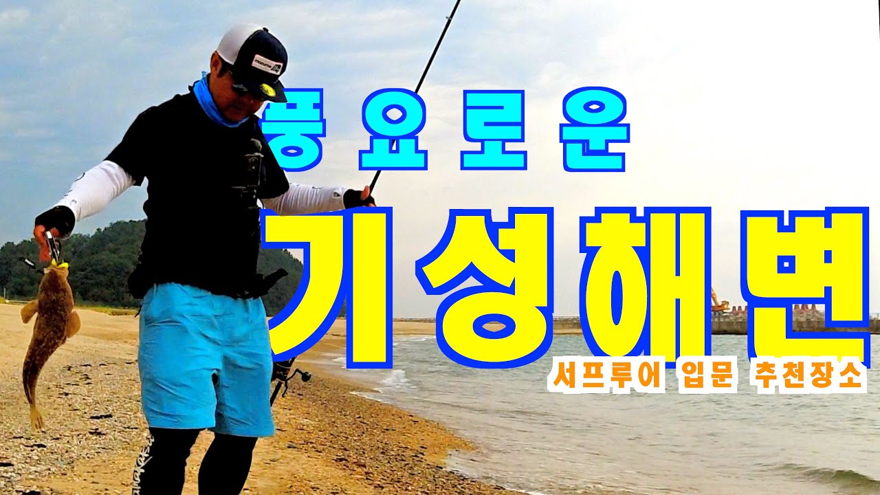 서프루어 플랫피쉬 입문 망설이시나요? 울진 기성해변은 양태 풍년 입니다.