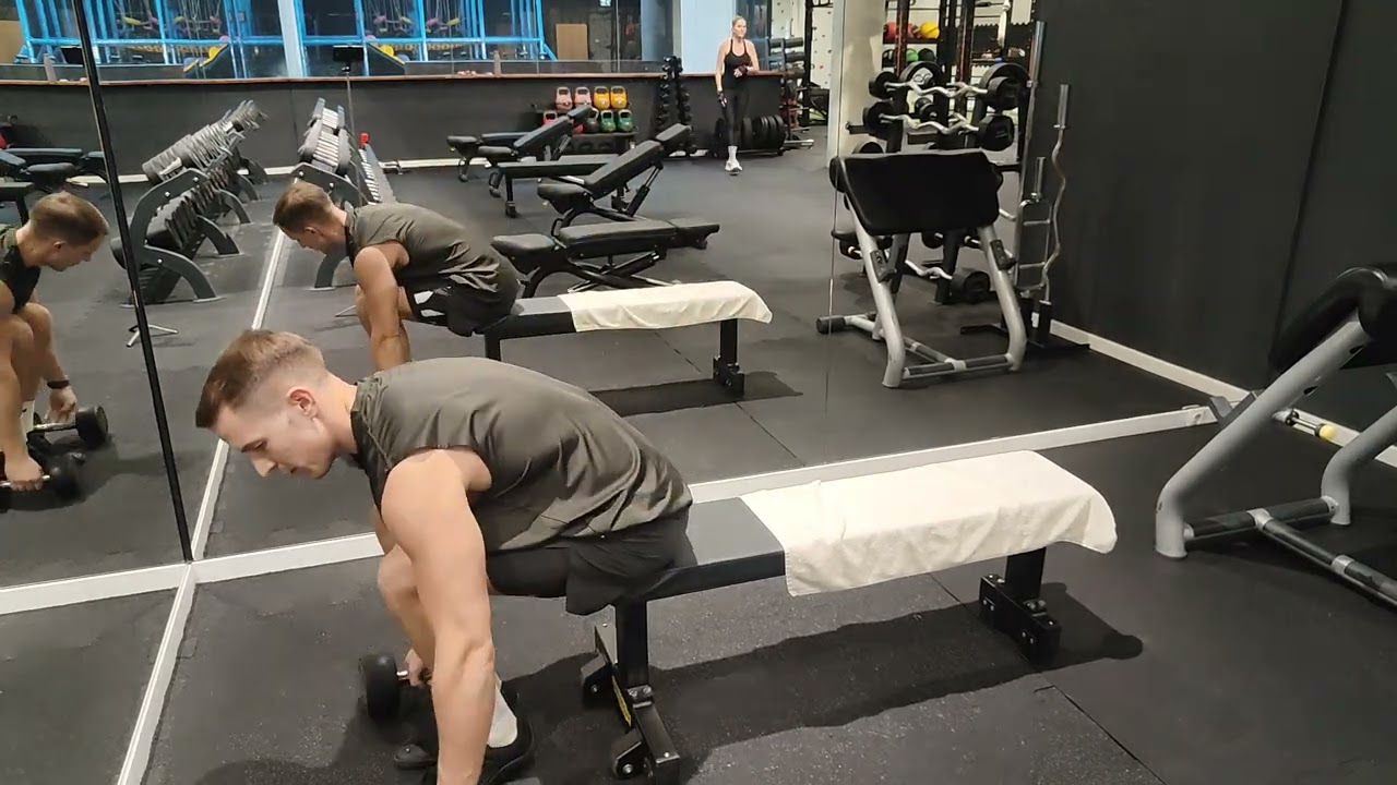 Seated dumbbell lateral raises