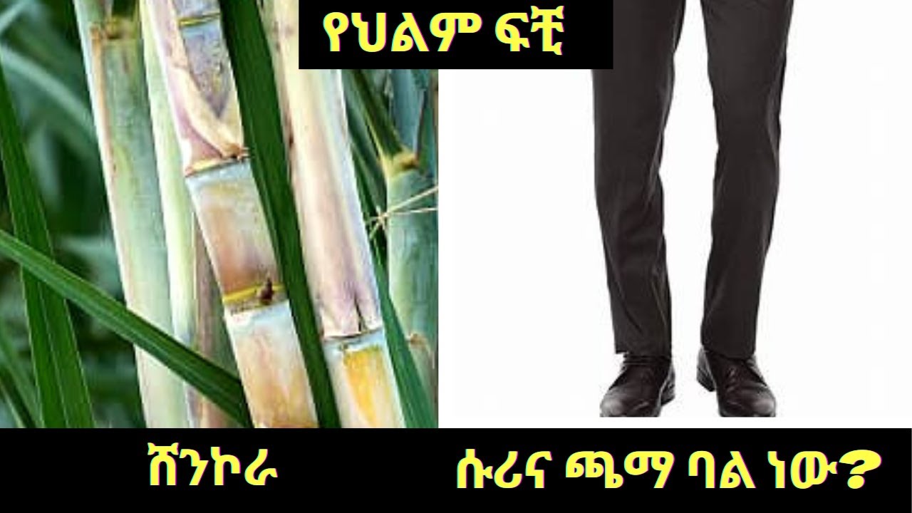 ሸንኮራ፣ ሱሪና ጫማ በል ነው Part One