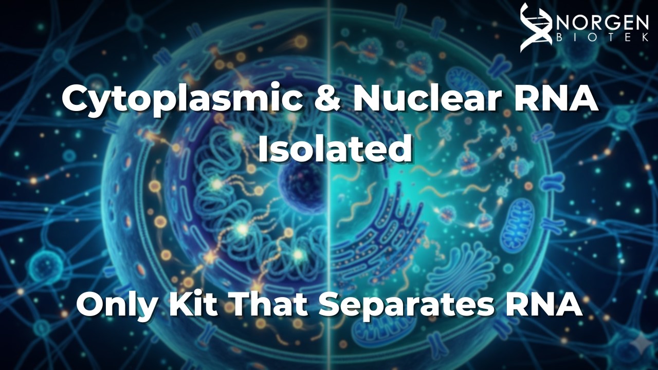 The Missing Piece in RNA Biomarker Discovery (Cytoplasmic vs Nuclear RNA)