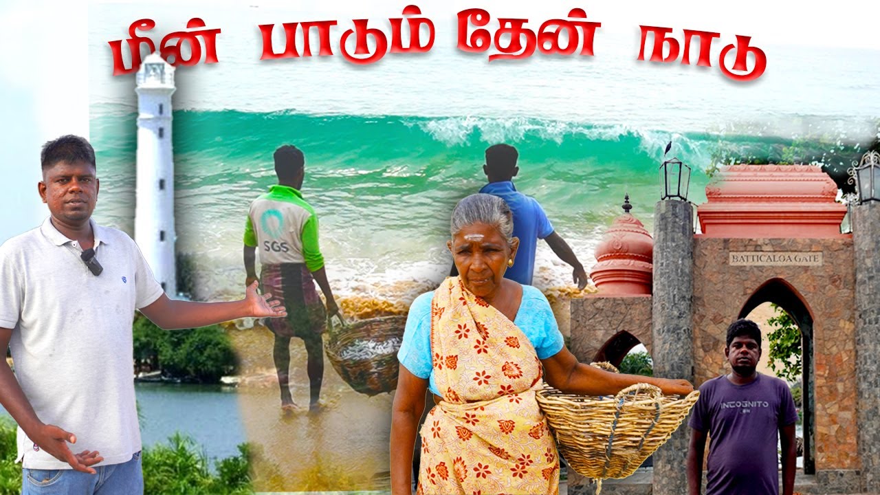 அழகிய கிராம வாழ்க்கை முறை  மட்டக்களப்பு! 🇱🇰 batticaloa Village life !  Tamil Rover