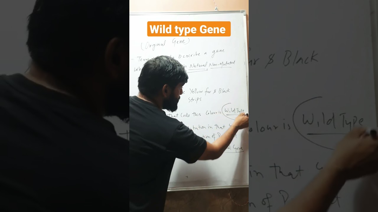 Wild type genes in genetics