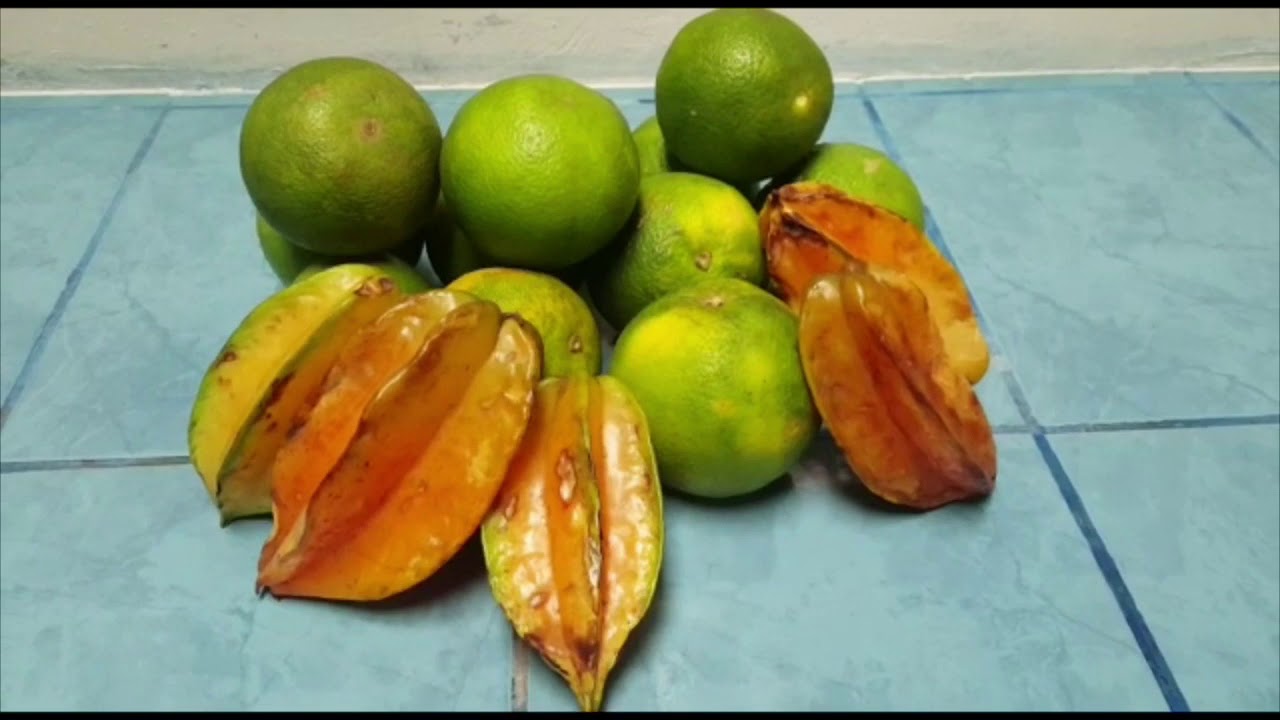 Fresco de Melocotón Nicaraguense