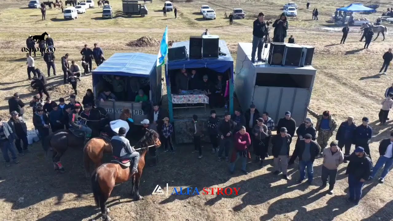 Toshkent Bodomzor Kardinal ot egasi Sanjar Akani Eldan Duoolish uchun Bergan kopkarisi 03.02.2026 