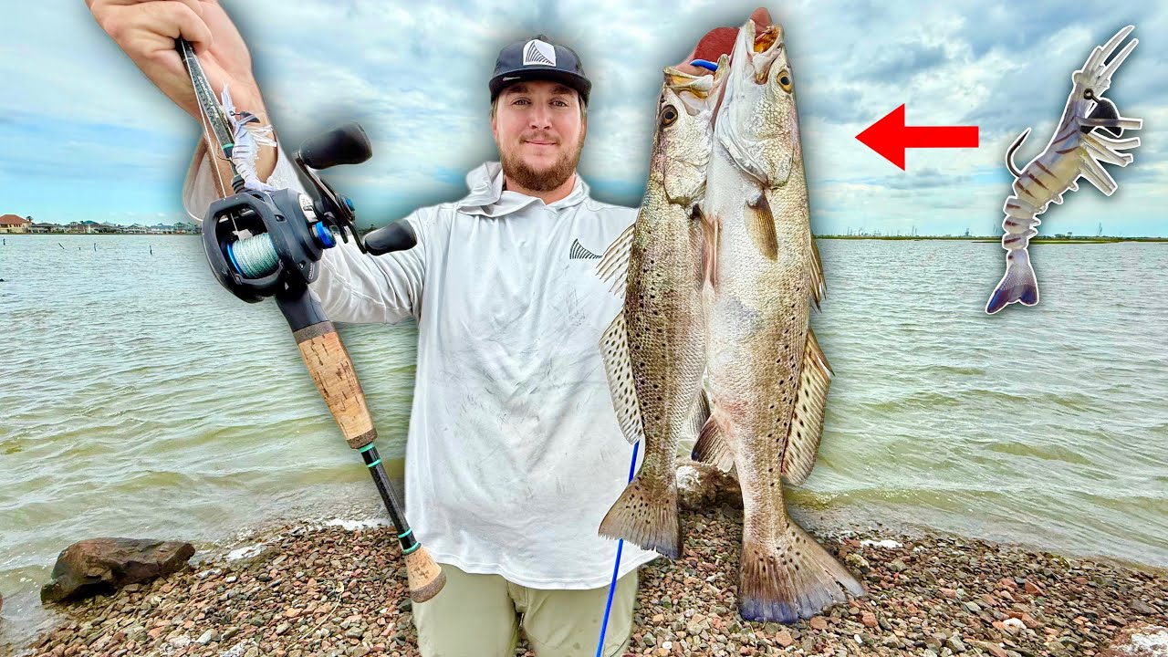 Catching SPECKLED TROUT and REDFISH from the BANK! (Catch, Clean, Cook)