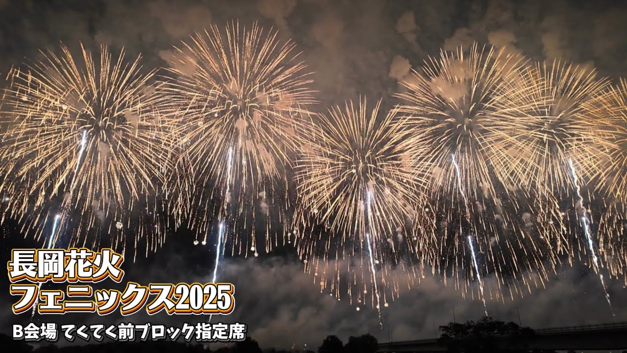 【長岡花火】鳥肌-フェニックス2025-ノーカットフル映像【B会場てくてく前ブロック指定席】