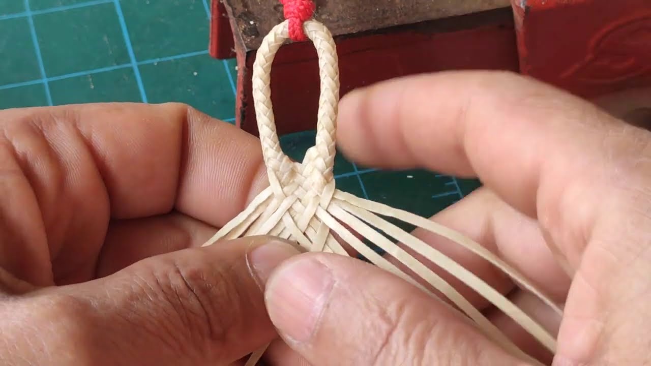 Trança de 8 para 16 tentos Pátria.