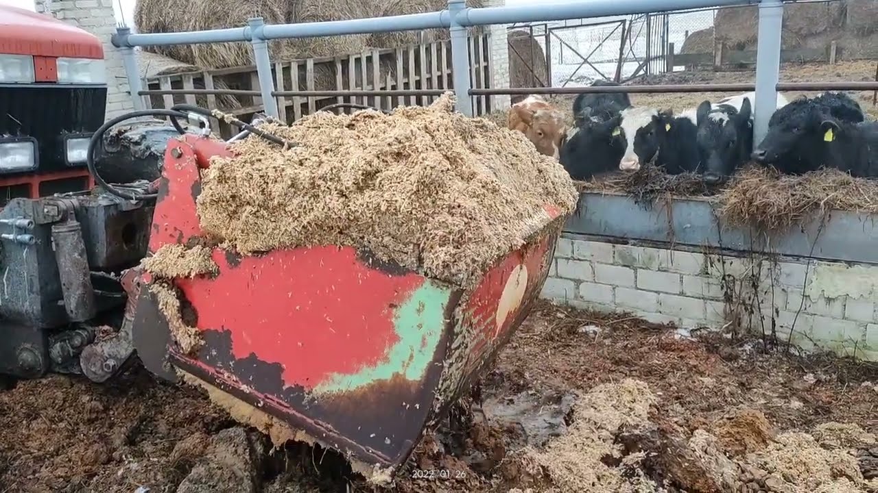 wycinak w akcji bardzo dobrze wycina.