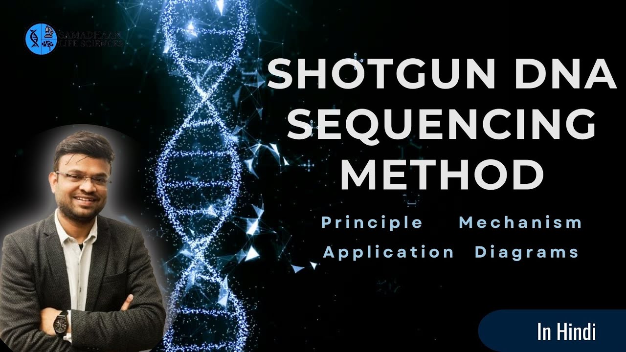 Shotgun DNA Sequencing: Principle, Mechanism, Applications & Diagrams Explained!