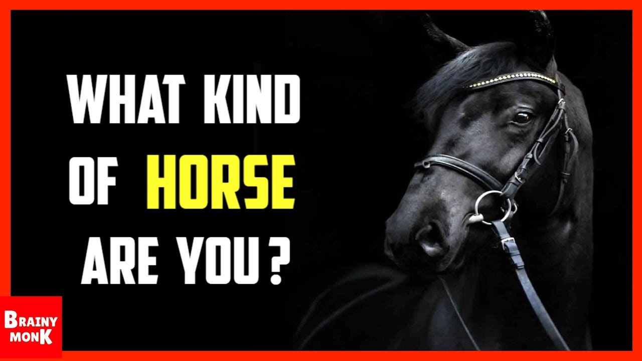 What Kind Of A Horse Are You? | Personality Test