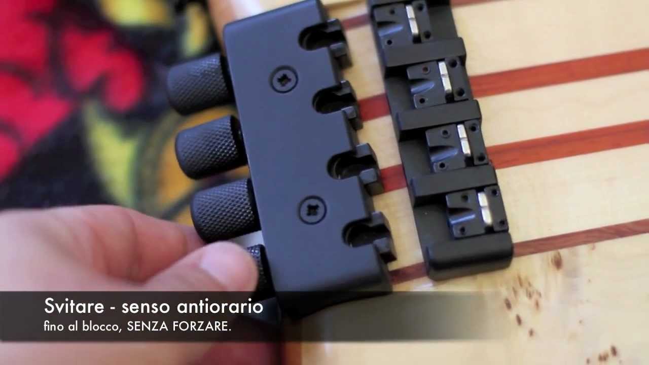 Sostituzione corde Biarnel Scorcio